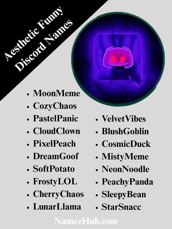 Aesthetic Funny Discord Names