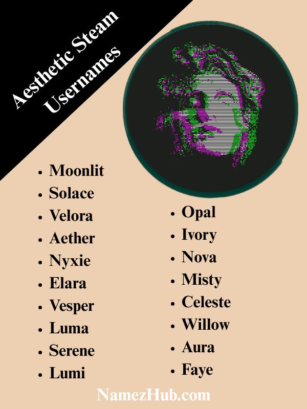 Aesthetic Steam Usernames