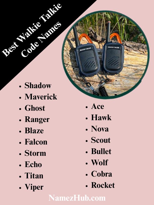 Best Walkie Talkie Code Names