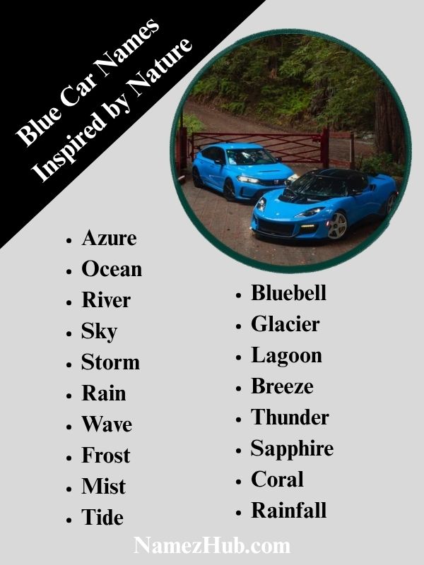 Blue Car Names Inspired by Nature