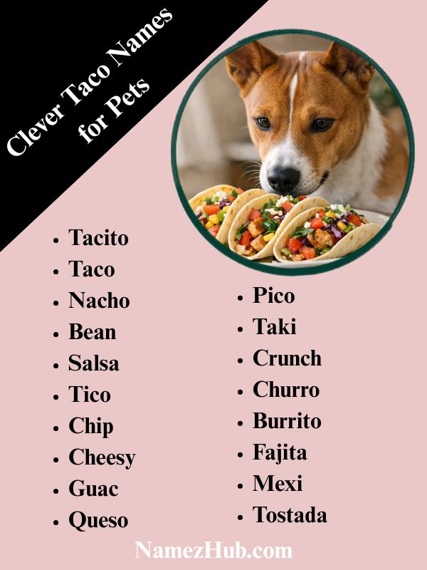 Clever Taco Names for Pets