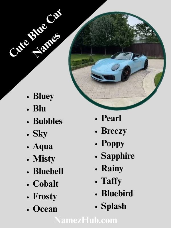 Cute Blue Car Names