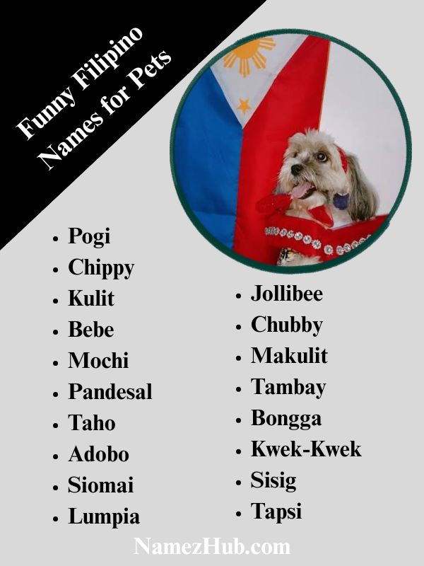 Funny Filipino Names for Pets