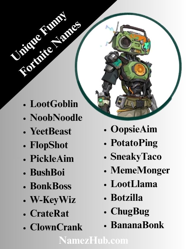Unique Funny Fortnite Names
