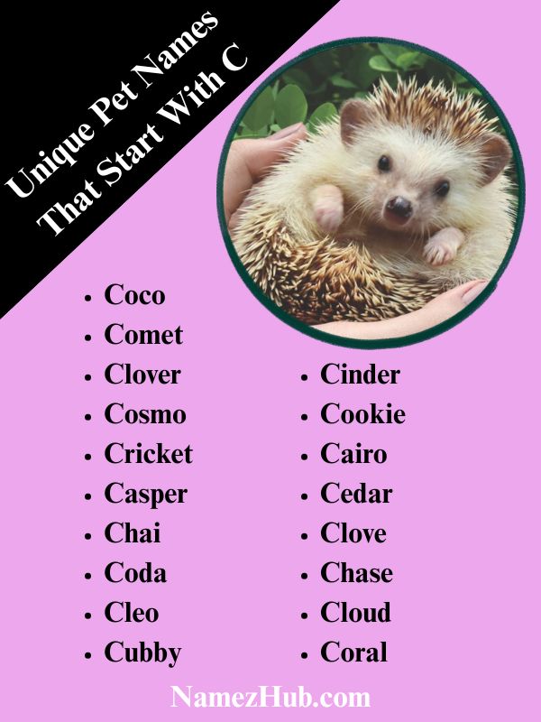Unique Pet Names That Start With C