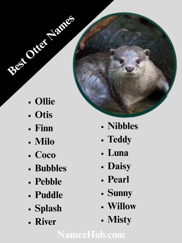 Best Otter Names