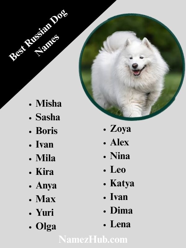 Best Russian Dog Names