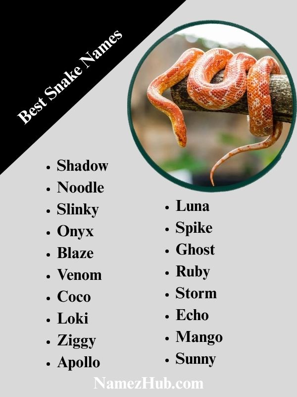Best Snake Names