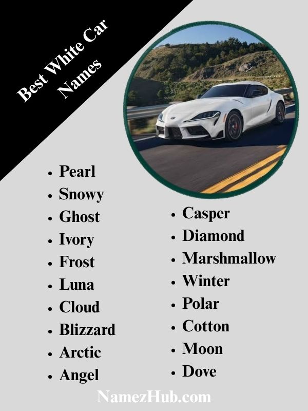 Best White Car Names