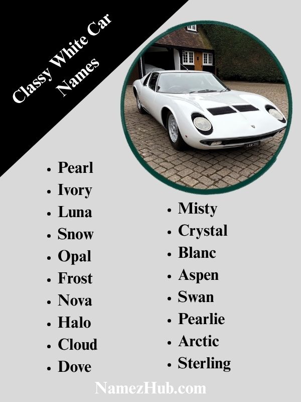 Classy White Car Names