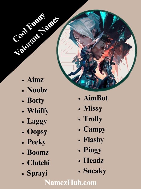 Cool Funny Valorant Names