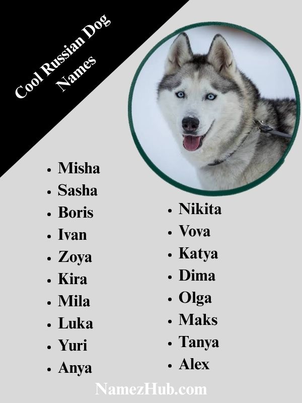 Cool Russian Dog Names