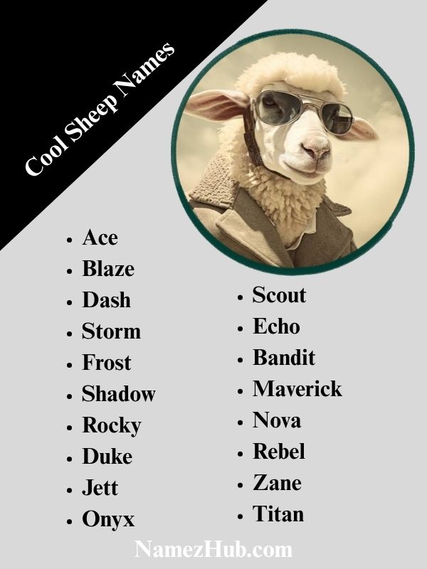 Cool Sheep Names