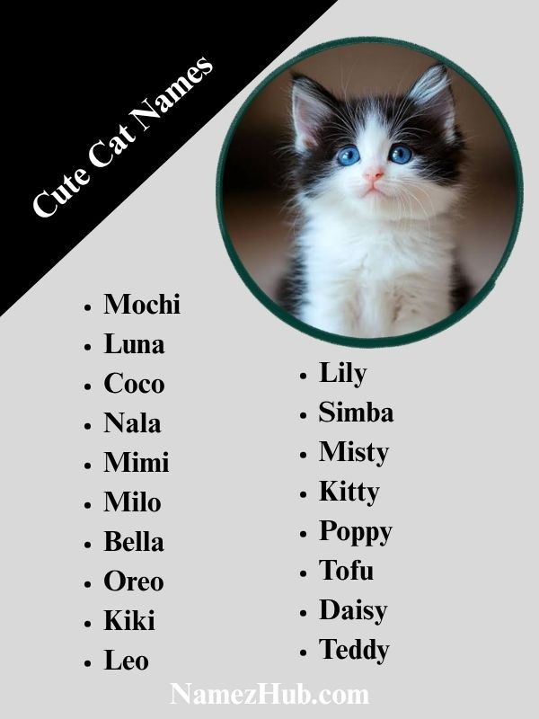 Cute Cat Names