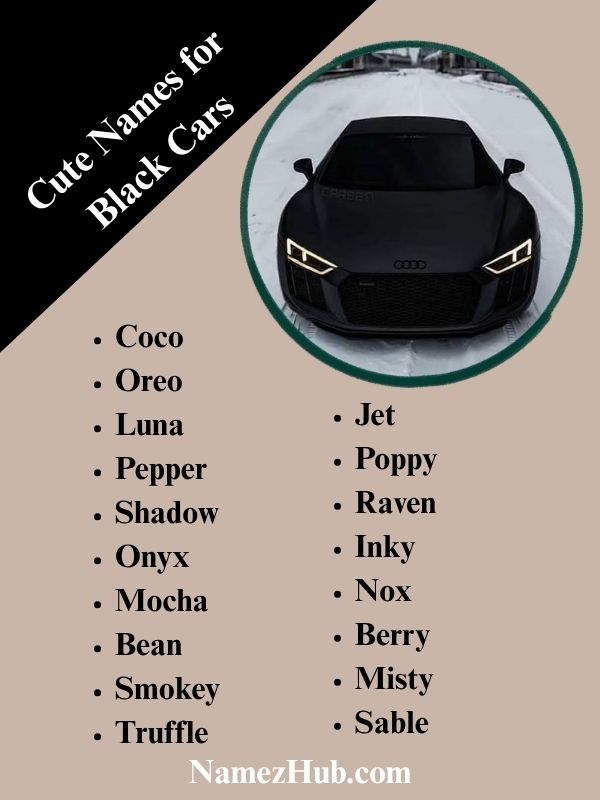 Cute Names for Black Cars