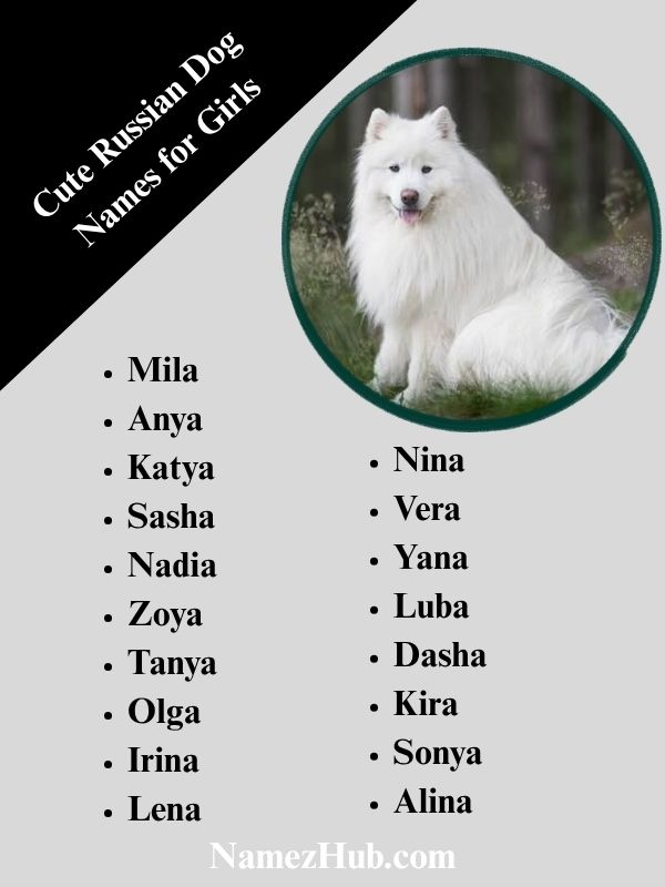 Cute Russian Dog Names for Girls