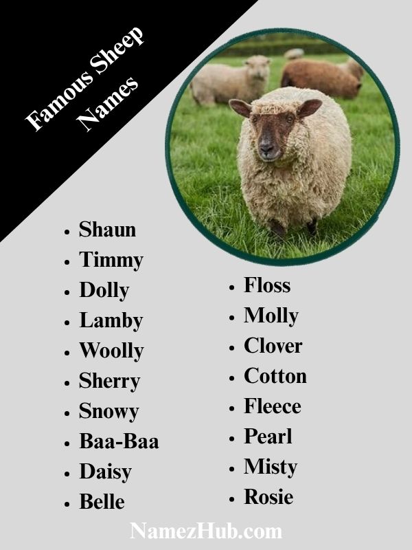 Famous Sheep Names