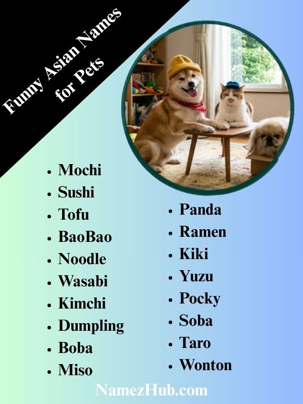 Funny Asian Names for Pets