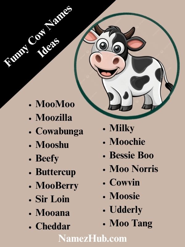 Funny Cow Names Ideas