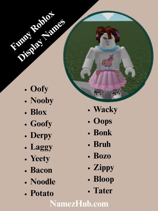 Funny Roblox Display Names