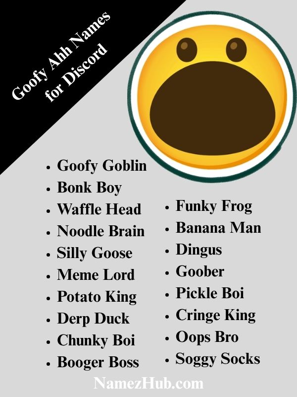 Goofy Ahh Names for Discord