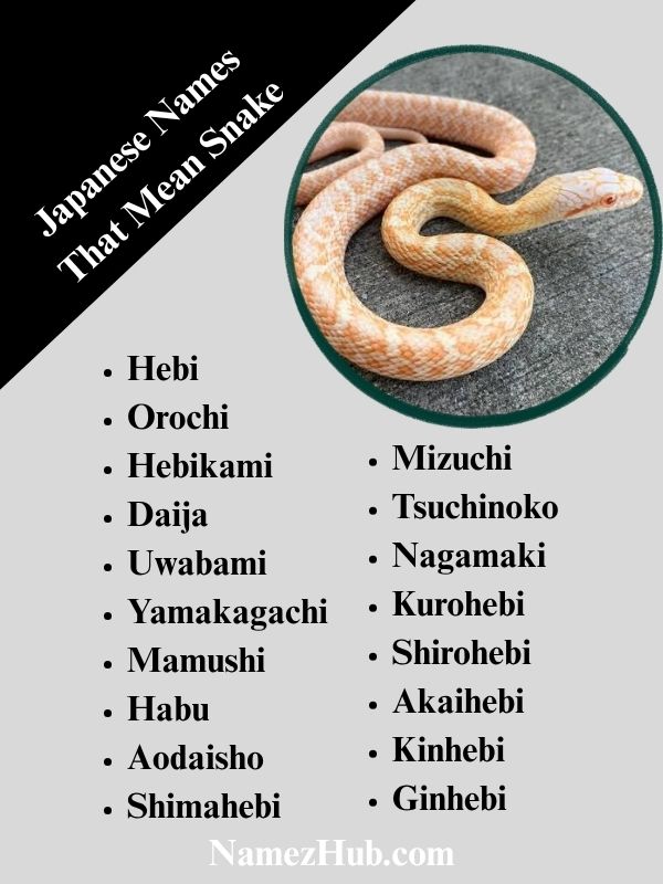 Japanese Names That Mean Snake