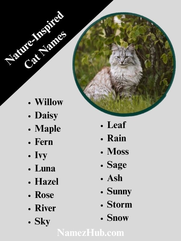 Nature-Inspired Cat Names