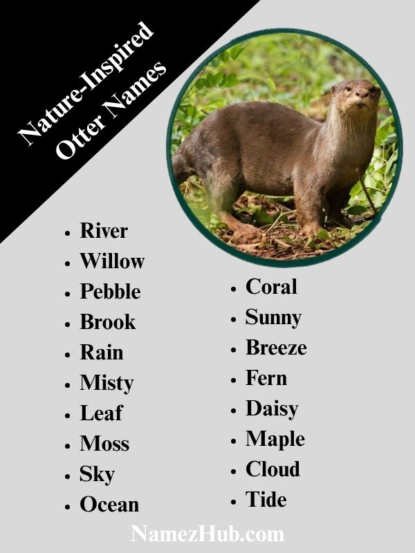 Nature-Inspired Otter Names