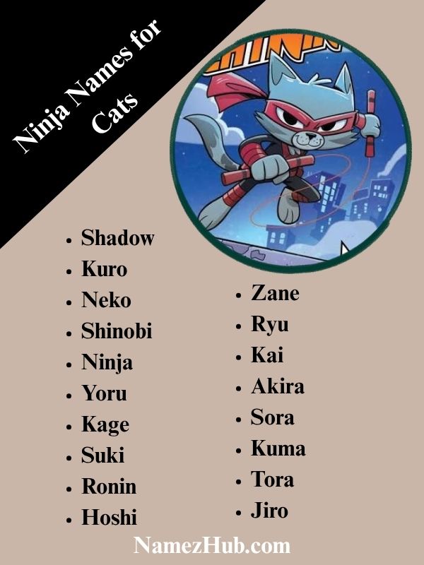 Ninja Names for Cats