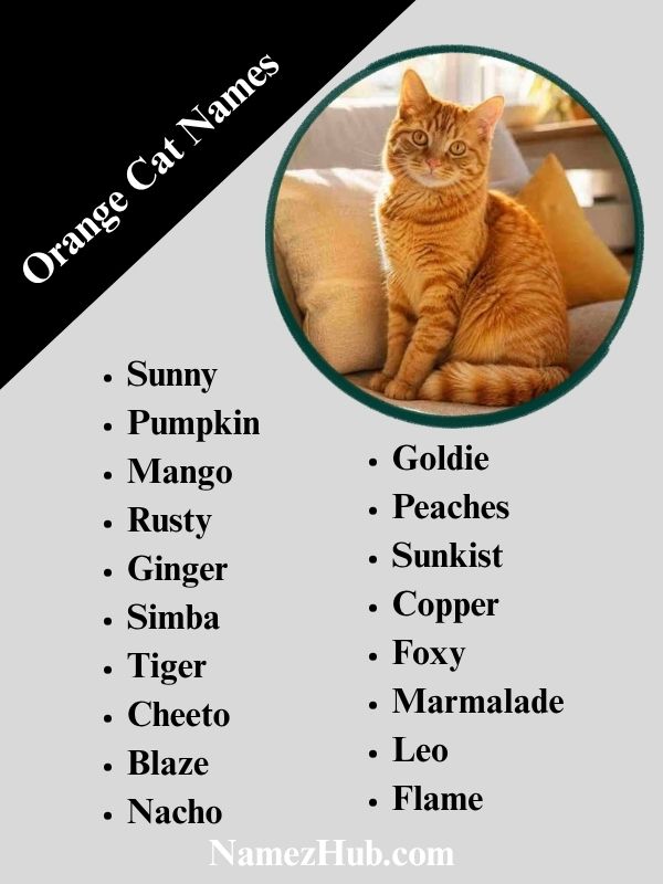 Orange Cat Names
