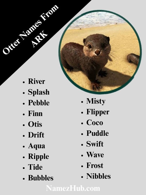 Otter Names From ARK