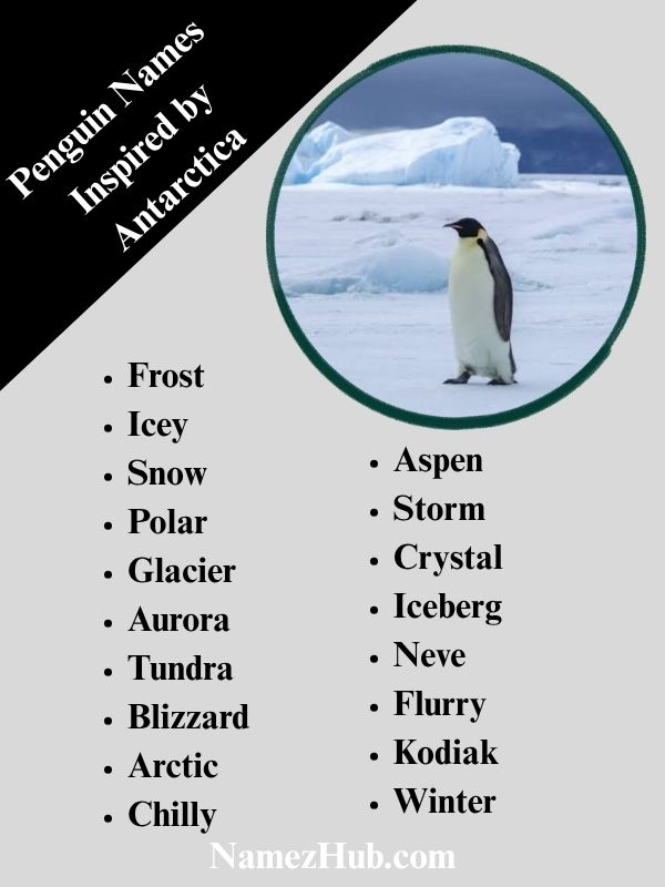 Penguin Names Inspired by Antarctica