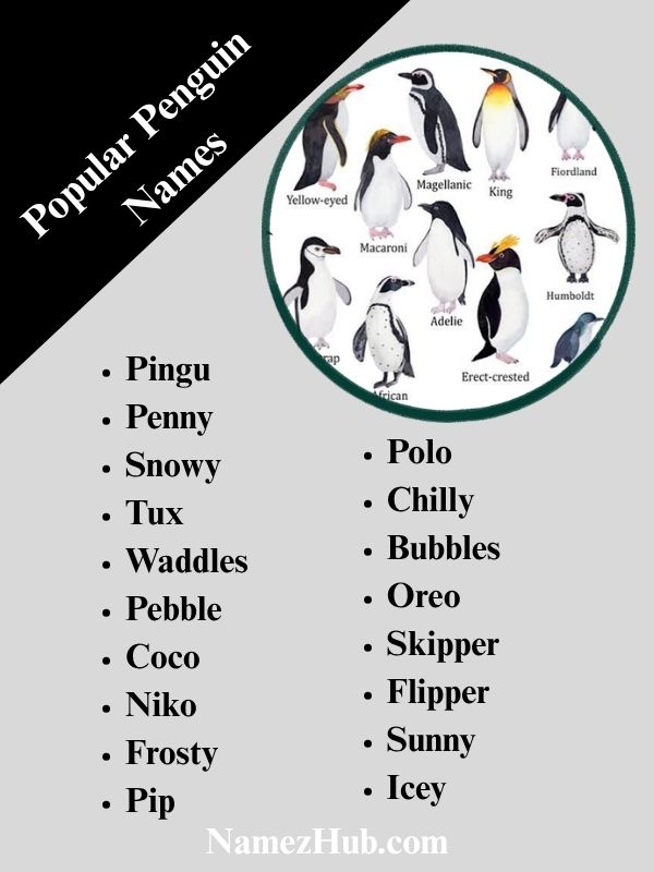 Popular Penguin Names