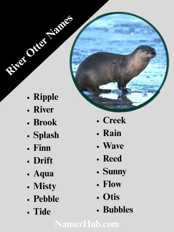 River Otter Names
