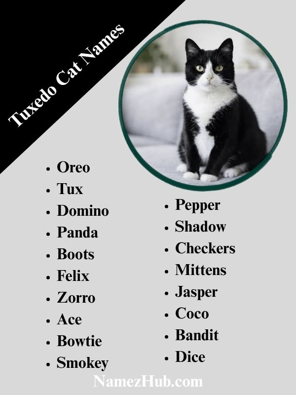 Tuxedo Cat Names