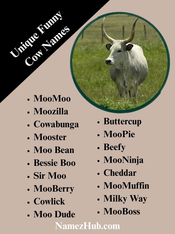Unique Funny Cow Names