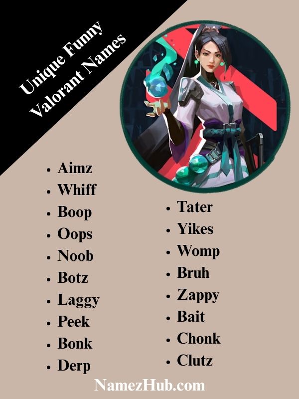 Unique Funny Valorant Names