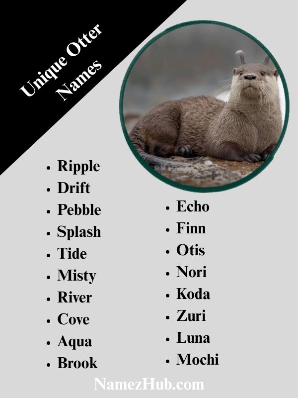 Unique Otter Names