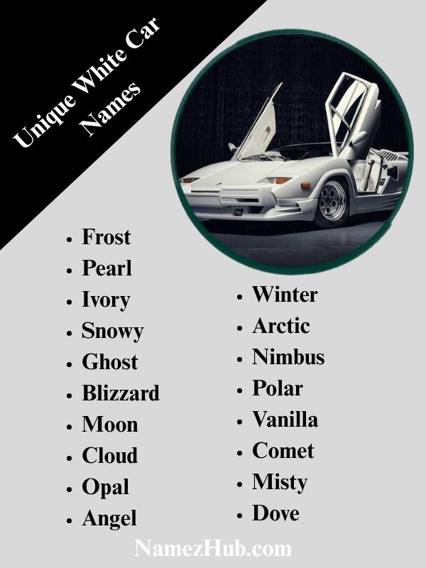 Unique White Car Names