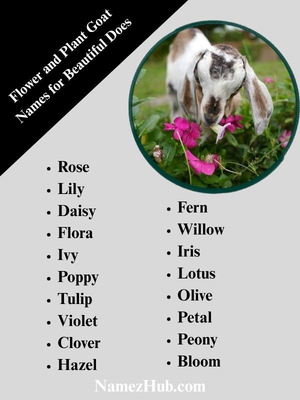 Flower and Plant Goat Names for Beautiful Does